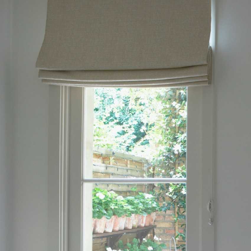 Estor Pachettos Teide