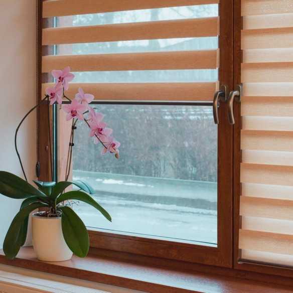 Estor Noche y Día Con Cajón Negro