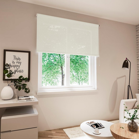 Estor Screen Basic 1